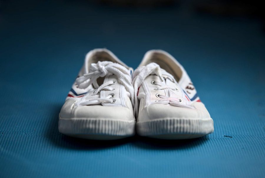 Fei Yue the best kung fu shoes