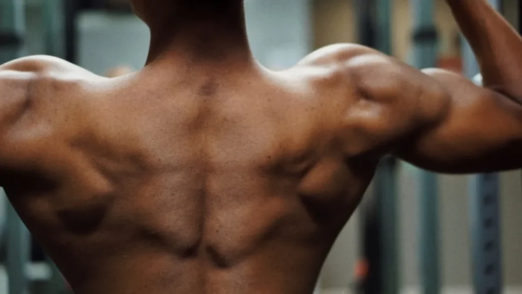Keto Bulk