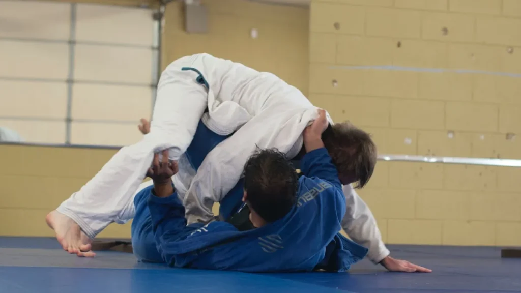Choose a Martial Art: Judo
