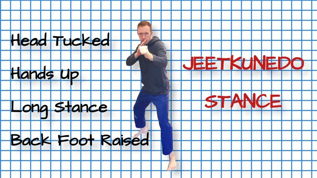 Pros and cons of the jeetkunedo stance