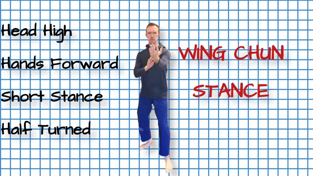 Pros and cons of the wing chun stance