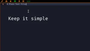 Plain Text Files